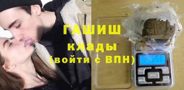 хмурый Арсеньев