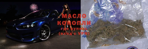 хмурый Арсеньев