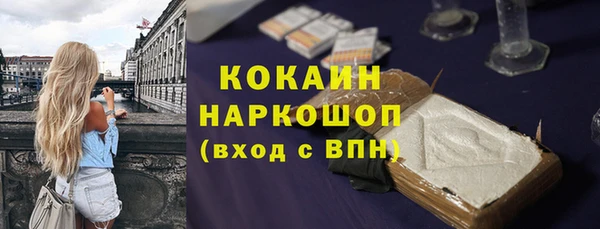 хмурый Арсеньев