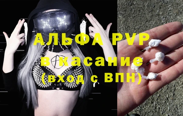 хмурый Арсеньев