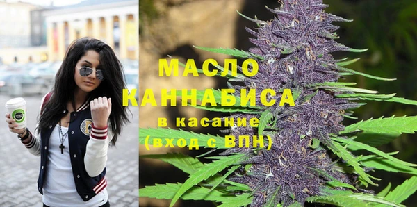 хмурый Арсеньев