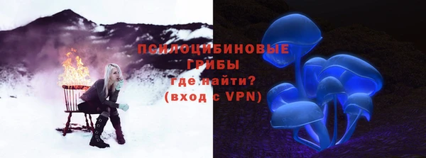 хмурый Арсеньев