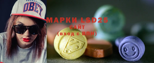 хмурый Арсеньев