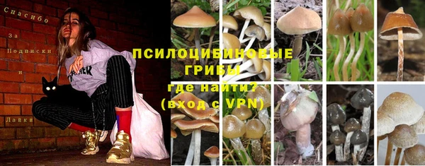 спайс Аркадак