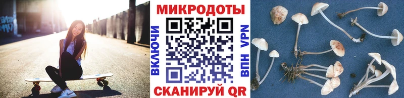 Галлюциногенные грибы мухоморы Сясьстрой