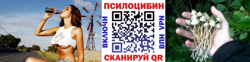 Галлюциногенные грибы Psilocybe  блэк спрут ONION  Сясьстрой 